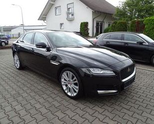 Jaguar Jaguar XF 35t Portfolio Leder beige, Bi-Xenon, GSH Gebrauchtwagen