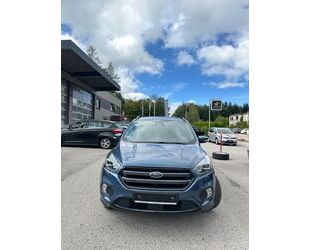 Ford Ford Kuga ST-Line Gebrauchtwagen