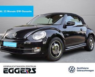 VW Volkswagen Beetle Cabrio 1.2 TSI *Cup*Xenon*Navi*L Gebrauchtwagen