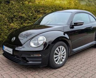 VW Volkswagen Beetle 1.2 TSI BMT - Gebrauchtwagen