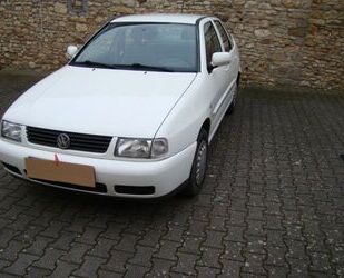 VW Volkswagen Polo 1.4 Classic Basis Gebrauchtwagen