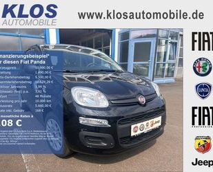 Fiat Fiat Panda EASY 1.2 69PS KLIMA RADIO SERVO Gebrauchtwagen