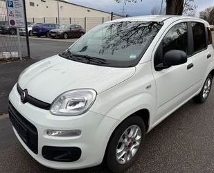 Fiat Fiat Panda More Klima Einparkhilfe 1.Hand Gebrauchtwagen