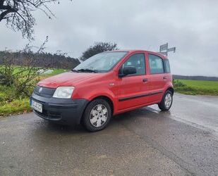 Fiat Fiat Panda Gebrauchtwagen