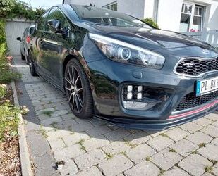 Kia Kia ceed / Ceed 1.6 T-GDI GT-Track GT-Track Gebrauchtwagen