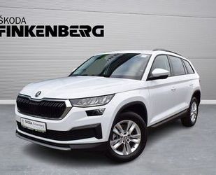 Skoda Skoda Kodiaq Ambition 2.0 TDI DSG 4x4 *LED*ACC*RüK Gebrauchtwagen