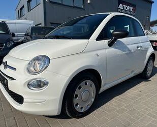 Fiat Fiat 500 Cult / Mild Hybrid Gebrauchtwagen