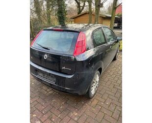 Fiat Fiat Punto 1.2 8V Active Active Gebrauchtwagen