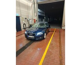 Audi Audi A3 2.0 TDI Ambition Cabriolet Ambition Gebrauchtwagen