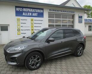 Ford Ford Kuga Plug-In Hybrid ST-Line X, 22000km, 1. Ha Gebrauchtwagen