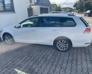 VW Volkswagen Golf 1.6 TDI DSG Trendline Variant Tren Gebrauchtwagen