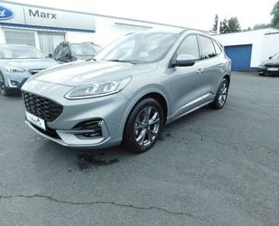 Ford Ford Kuga ST-Line X Gebrauchtwagen