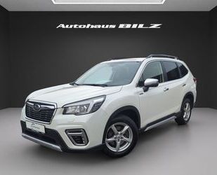 Subaru Subaru Forester Active*Kamera*Allrad*Automatik*Gar Gebrauchtwagen