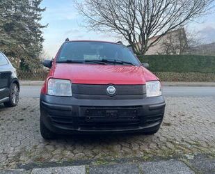 Fiat Fiat Panda Gebrauchtwagen