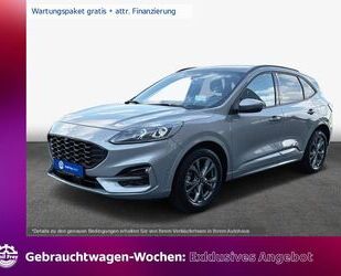 Ford Ford Kuga 1.5 EcoBoost ST-LINE X Gebrauchtwagen