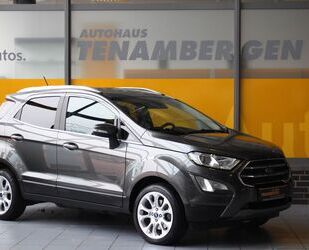 Ford Ford EcoSport Titanium Winter & Technikpaket B&O Gebrauchtwagen