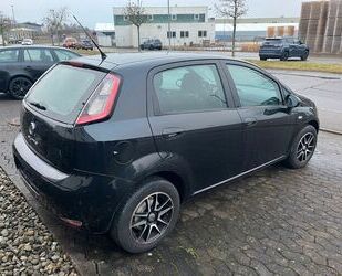 Fiat Fiat Punto Evo NEUER TÜV, 8-FACH BEREIFT Gebrauchtwagen