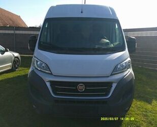 Fiat Ducato Gebrauchtwagen