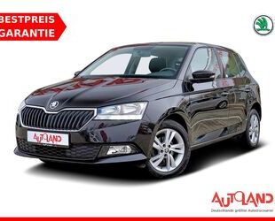 Skoda Skoda Fabia 1.0 TSI Ambition Klima SmartLink Kamer Gebrauchtwagen