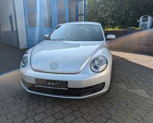 VW Volkswagen New Beetle Gebrauchtwagen