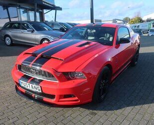 Ford Ford Mustang 3.7 Coupe Automatik Shelby Motorhaube Gebrauchtwagen