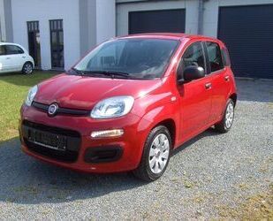 Fiat Fiat Panda Pop/VFW+1.HD/Klimaanlage/Servo/wenig KM Gebrauchtwagen