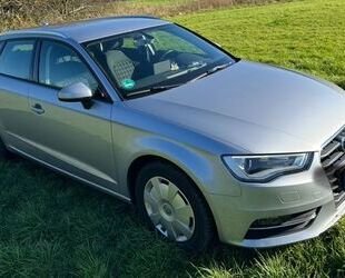 Audi Audi A3 1.6 TDI clean diesel Attraction Sportb. A. Gebrauchtwagen