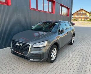 Audi Audi Q2 30 TDI basis Gebrauchtwagen