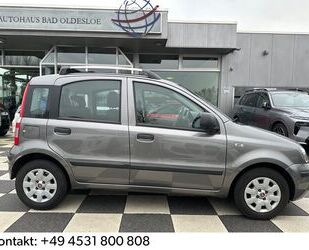 Fiat Fiat Panda 1.2 8V Dynamic + Klima + Panorama Gebrauchtwagen