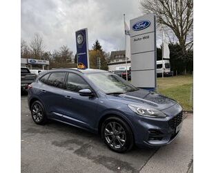 Ford Ford KUGA ST-LINE X ECOBLUE MHEV STANDHEIZUNG HEAD Gebrauchtwagen