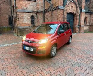 Fiat Fiat Panda Gebrauchtwagen