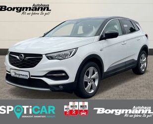 Opel Opel Grandland X 120 Jahre 1.2 Turbo Navi Apple Ca Gebrauchtwagen