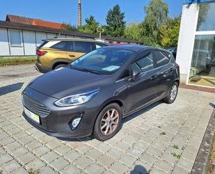 Ford Ford Fiesta 1,0 EB Titanium 95 PS Winter-P ACC RFK Gebrauchtwagen