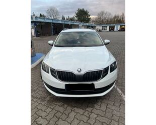 Skoda Skoda Octavia 1.0 TSI DSG Drive Combi Drive Gebrauchtwagen