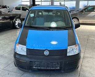 Fiat Fiat Panda 8VActive 1.1 8V Active teilb.Rücksb eFH Gebrauchtwagen