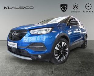 Opel Opel Grandland X 2.0 D Automatik Buisness INNOVATI Gebrauchtwagen