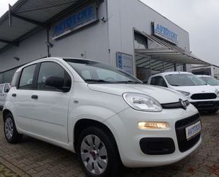 Fiat Fiat Panda 1.Hand Start&Stopp EURO6 KLIMA Gebrauchtwagen