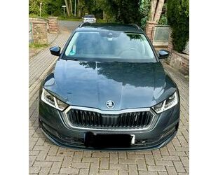 Skoda Skoda Octavia 1.5 TSI ACT AMBITION COMBI AMBITION Gebrauchtwagen