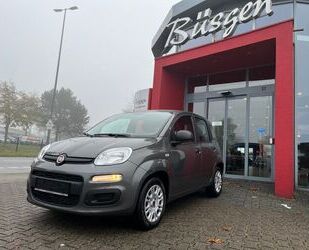 Fiat Fiat Panda Easy *erst 3.900 km*Klima*EFH*Garantie Gebrauchtwagen