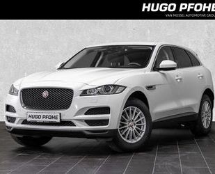 Jaguar Jaguar F-PACE Pure 20d AWD Automatik Sports Utilit Gebrauchtwagen