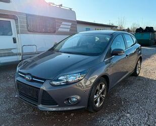 Ford Ford Focus Champions Edition Start/Stop*PDC+Parkhi Gebrauchtwagen