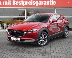 Mazda Mazda CX-30 2.0 SKYACTIV-G M Hybrid Selection LED Gebrauchtwagen