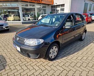 Fiat Fiat Punto 1.2 8V Start Gebrauchtwagen