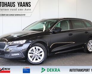 Skoda Skoda Octavia 2.0 TDI DSG Style AID+LED+NAVI+AMBI. Gebrauchtwagen