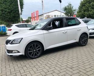 Skoda Skoda Fabia 1.4l TSI DSG R5 R5 Gebrauchtwagen