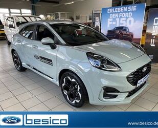 Ford Ford Puma ST-Line X MHEV+LED+PDC+DAB+B&O+NAV+KeyFr Gebrauchtwagen