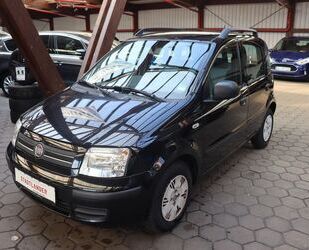 Fiat Fiat Panda 1.2 8V Dynamic KLIMA*NEUE KUPPLUNG! Gebrauchtwagen