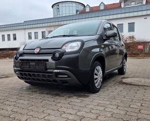 Fiat Fiat Panda City Plus Klima Sitzheizung 8fach berei Gebrauchtwagen