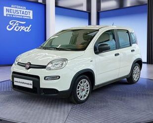 Fiat Fiat Panda 1.0 GSE Hybrid *Bluetooth*Garantie* Gebrauchtwagen