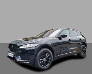 Jaguar Jaguar F-Pace 25T CHEQUERED FLAG HUD 360° AWD Gebrauchtwagen